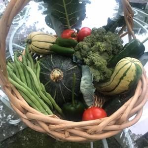 Meet your Posher, Susan